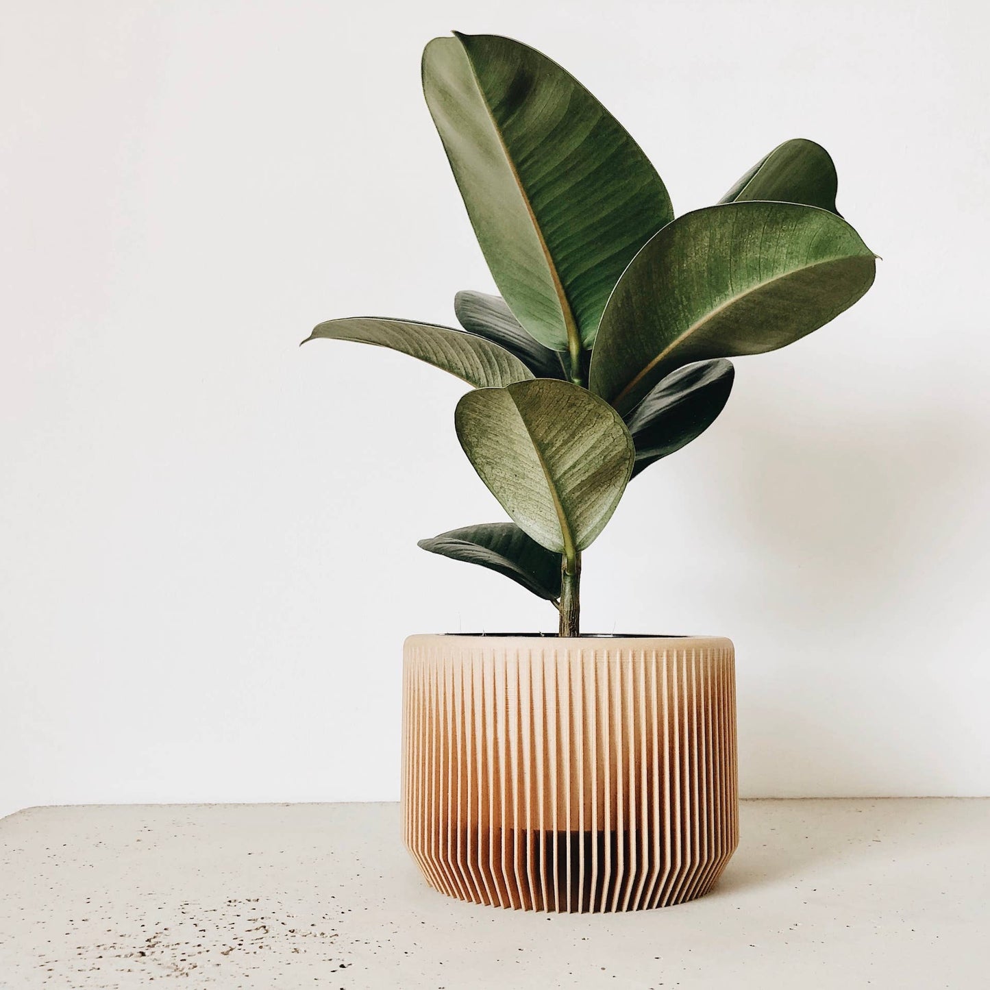 Indoor Planter - Blue Indigo