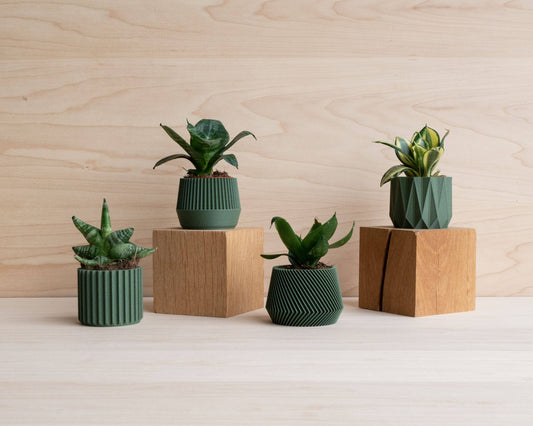 Origami Green Planter