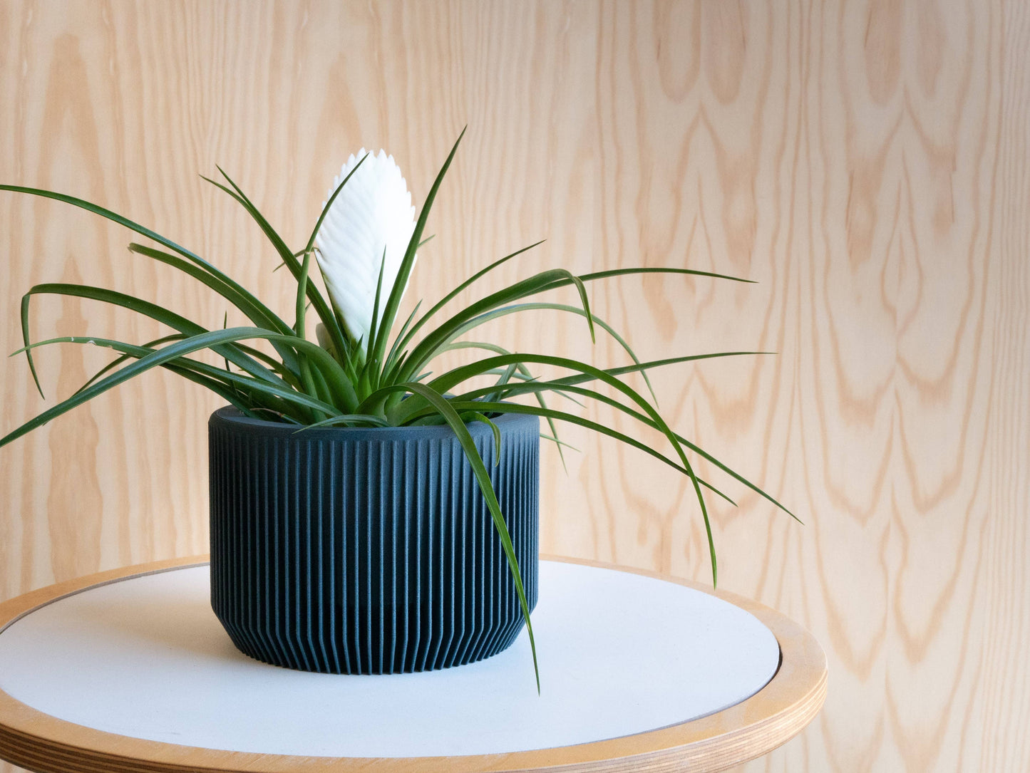 Indoor Planter - Blue Indigo