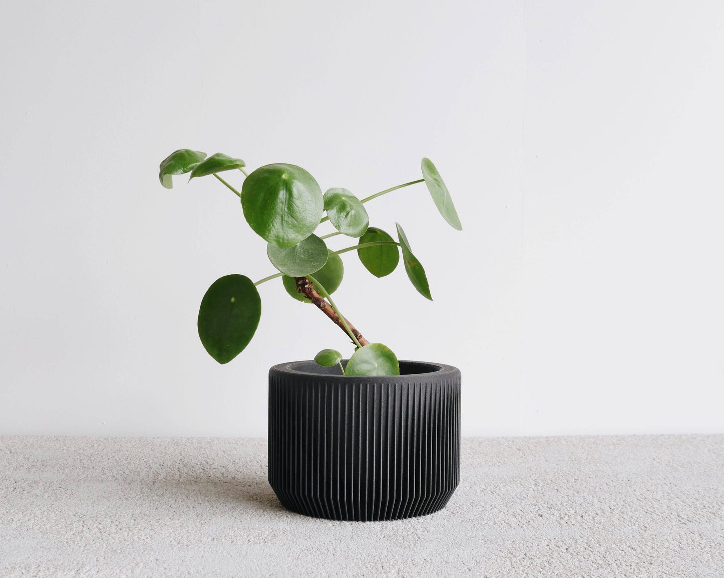 Indoor Planter - Blue Indigo