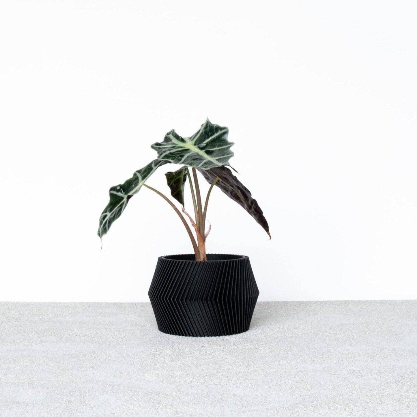 Indoor Planter / Black