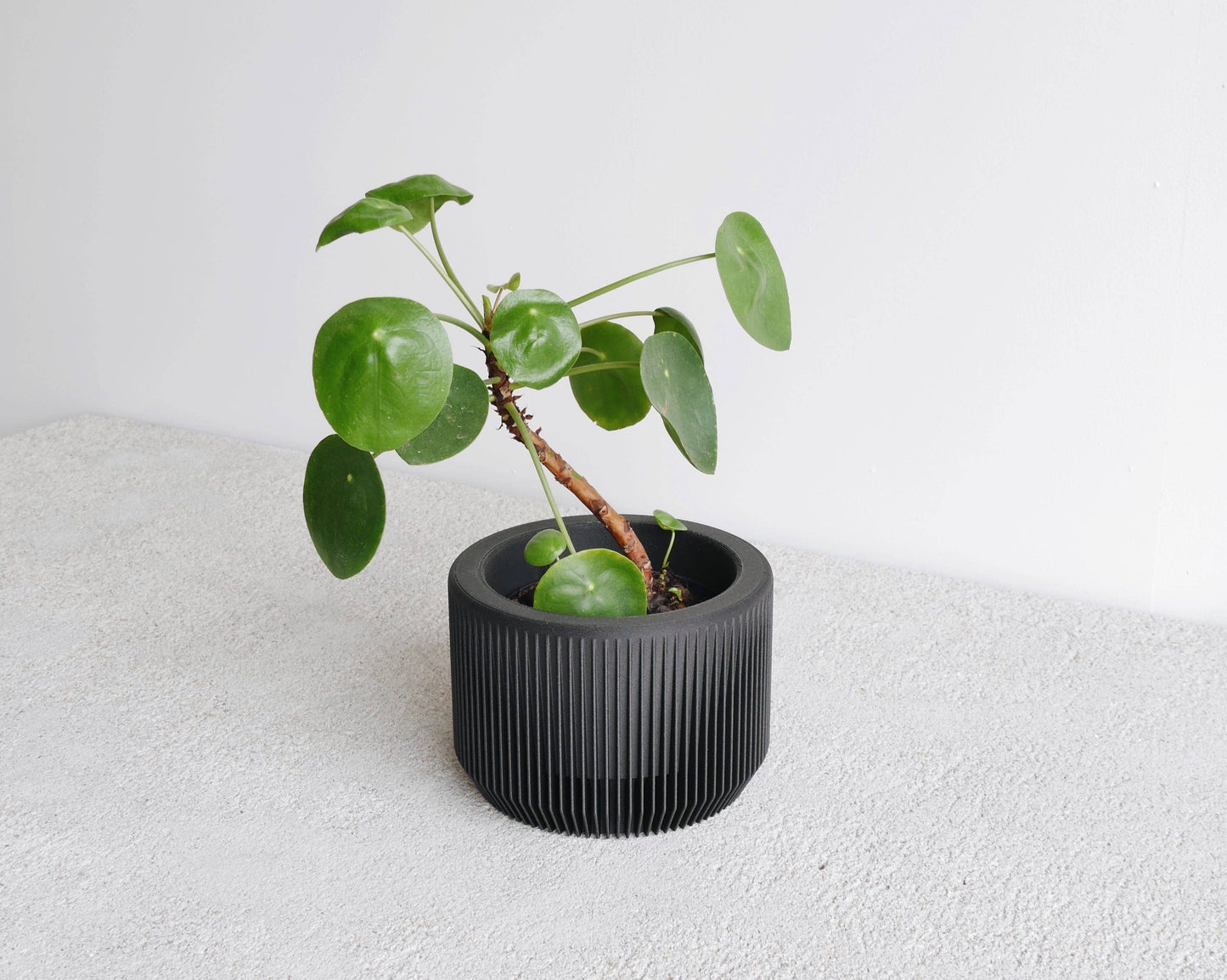 Indoor Planter - Blue Indigo