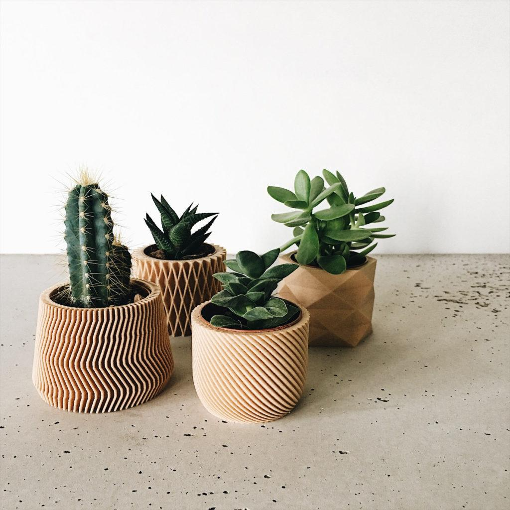 Mini Sand Planters