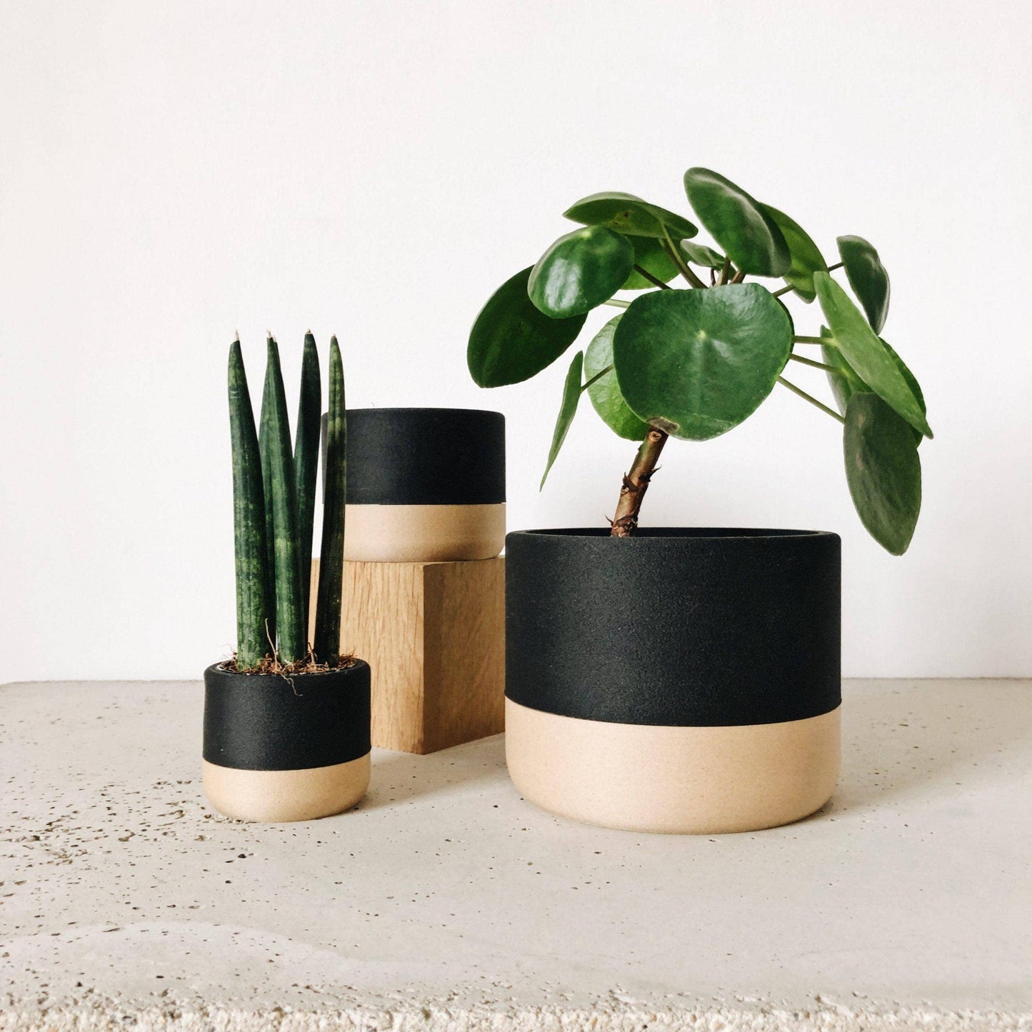 Zen Indoor Planter