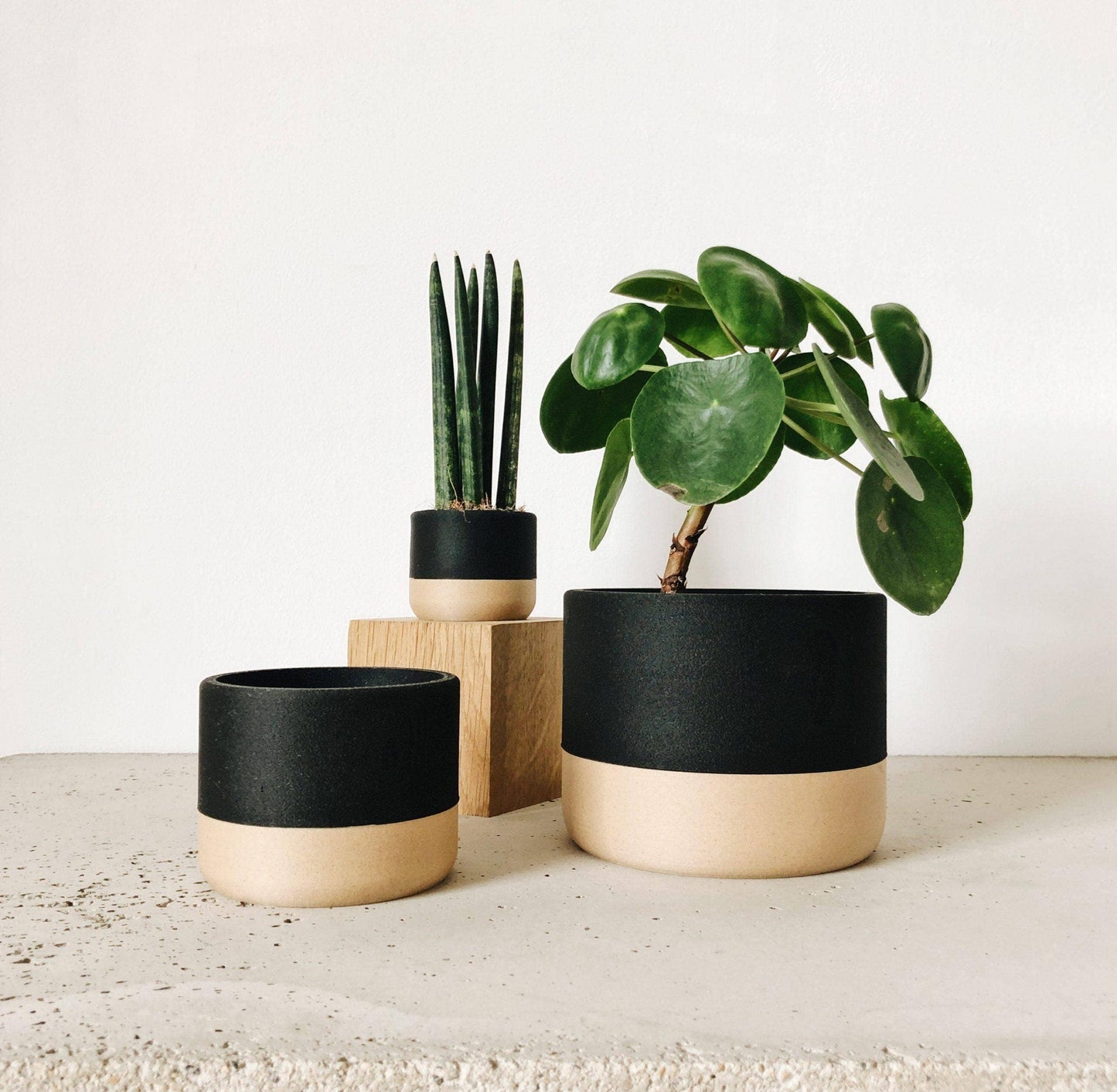 Zen Indoor Planter