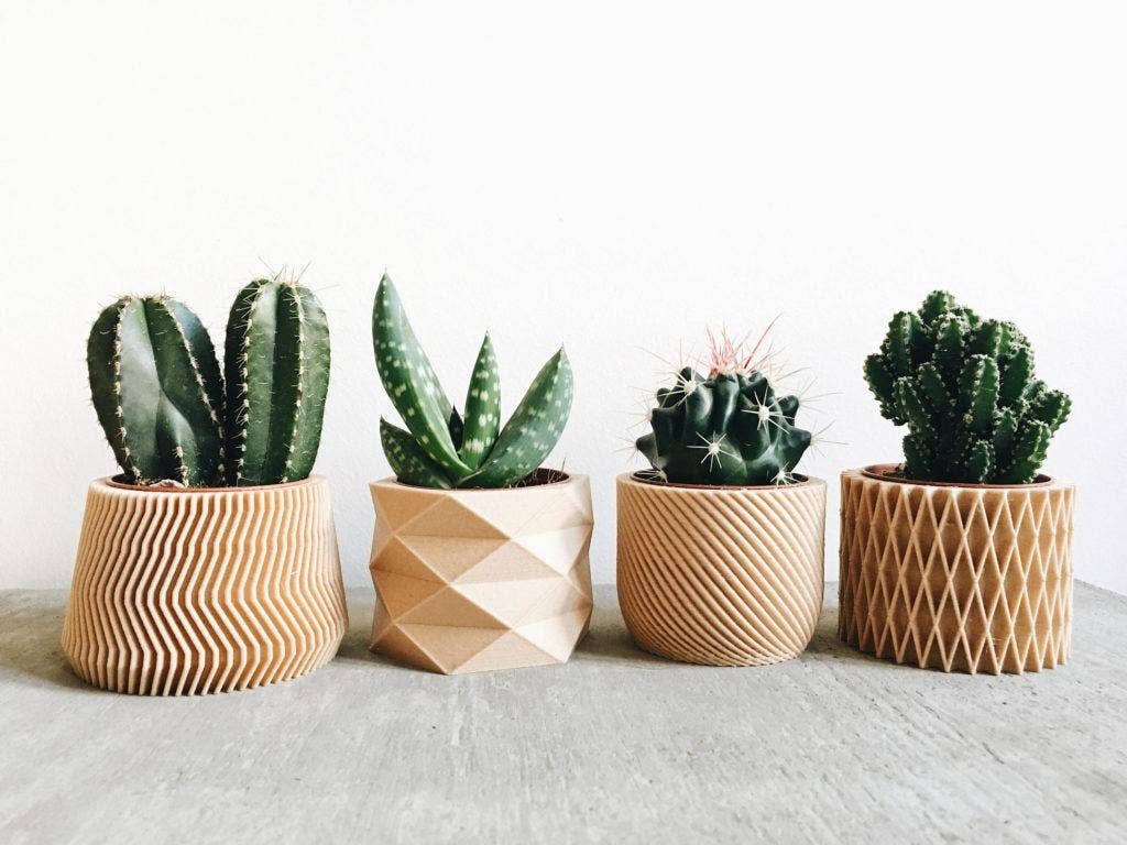 Mini Sand Planters