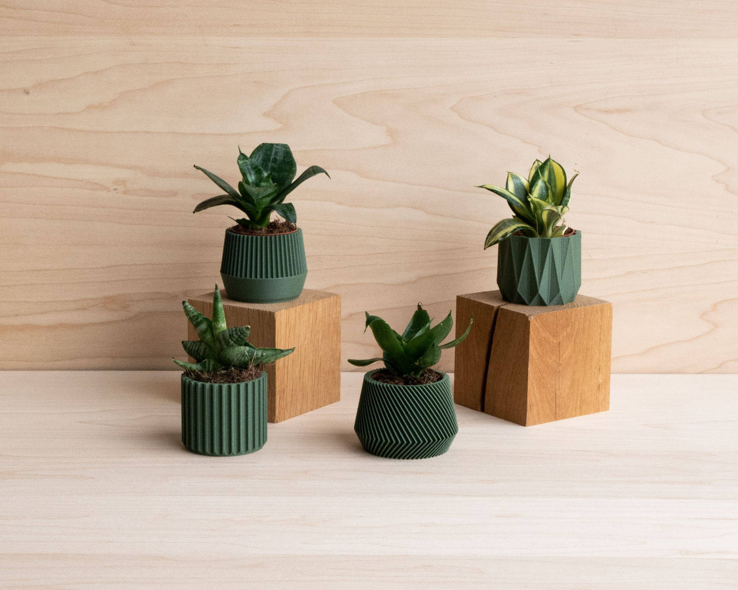 Origami Green Planter