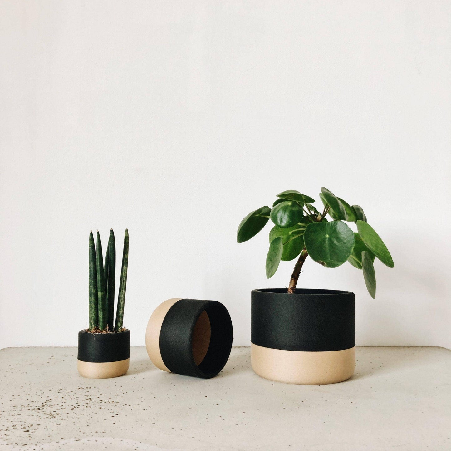 Zen Indoor Planter