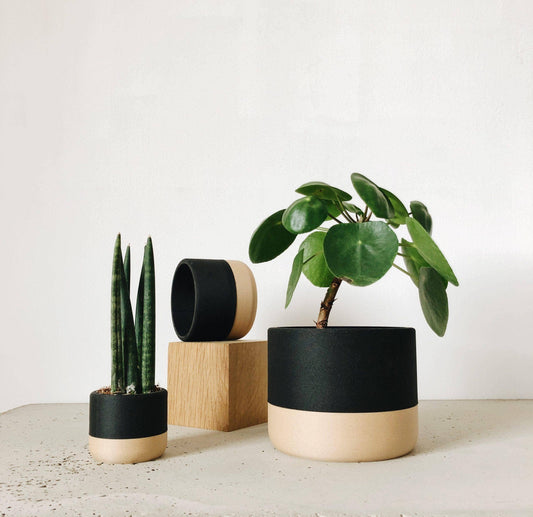 Zen Indoor Planter