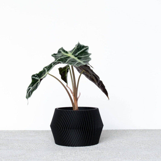 Indoor Planter / Black