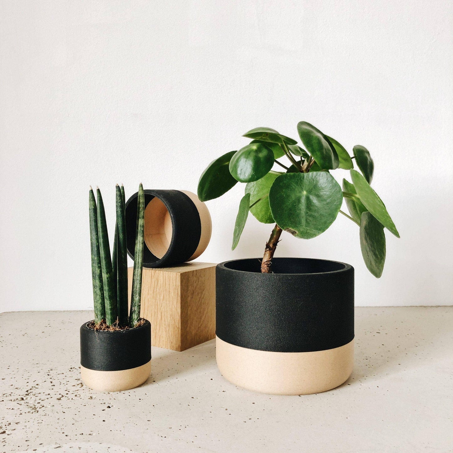 Zen Indoor Planter