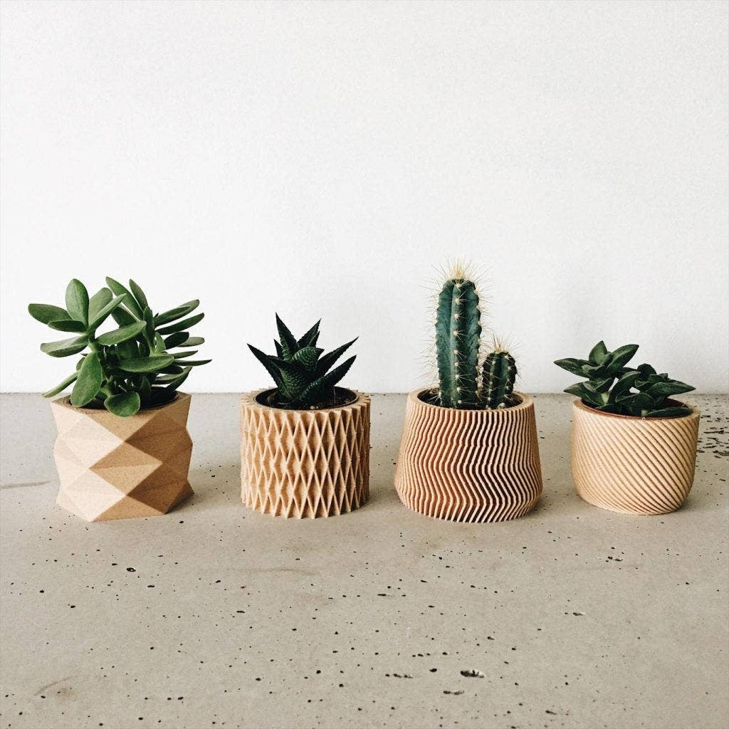 Mini Sand Planters