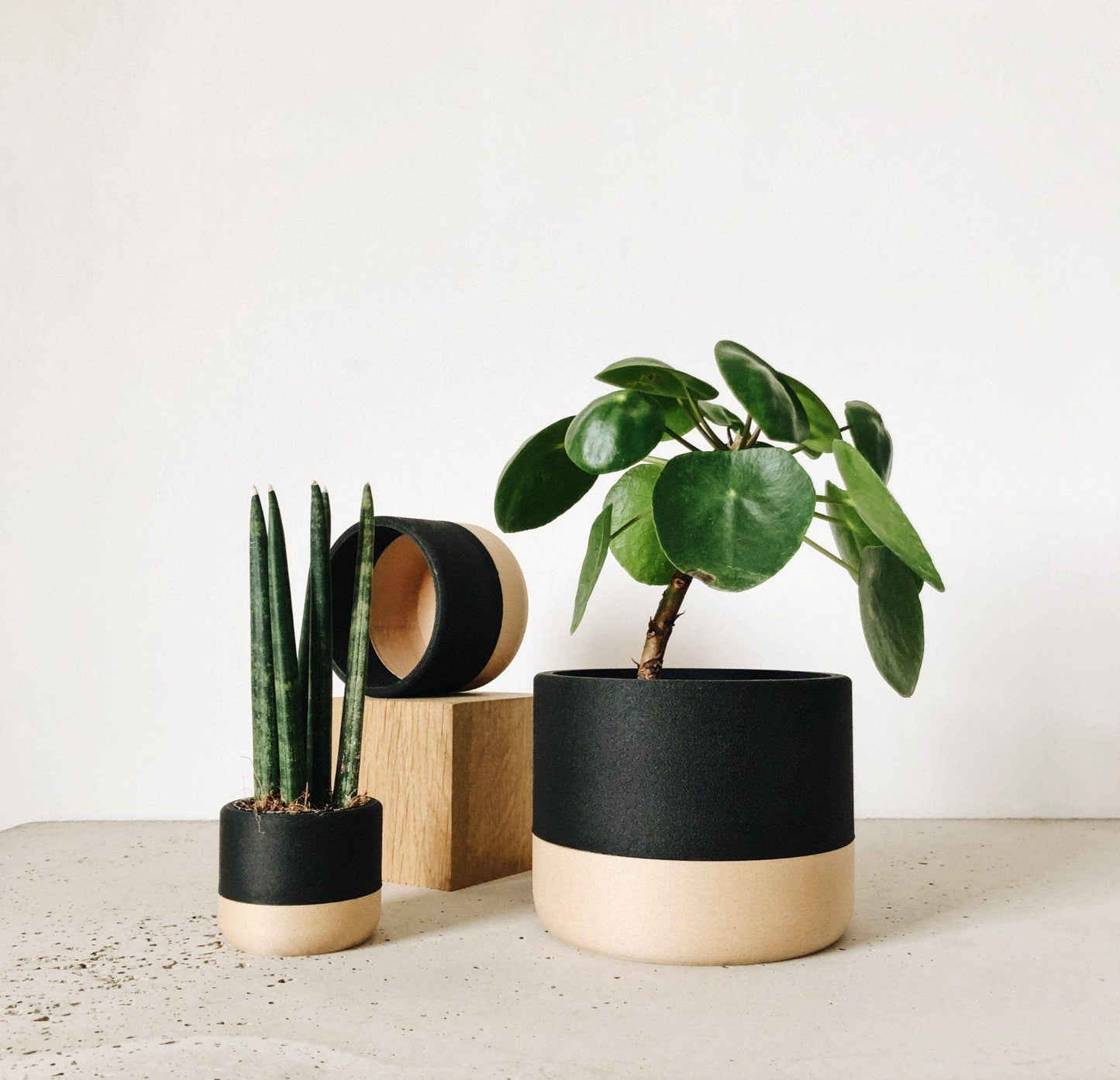 Zen Indoor Planter